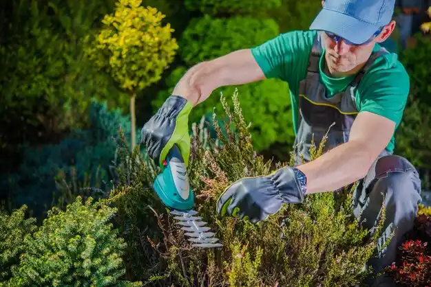 landscaping services Blair